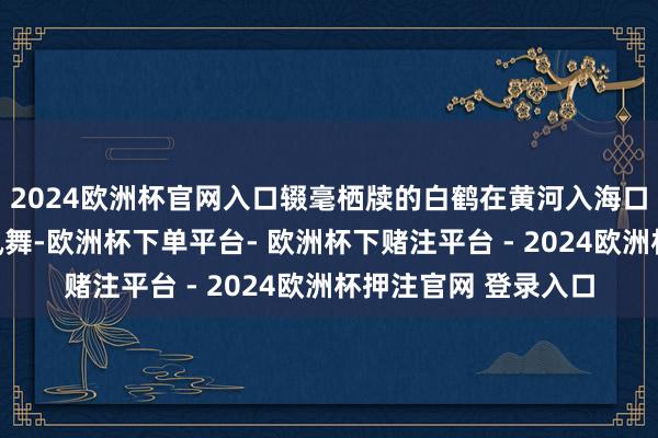 2024欧洲杯官网入口辍毫栖牍的白鹤在黄河入海口的豁达太空下鸾歌凤舞-欧洲杯下单平台- 欧洲杯下赌注平台 - 2024欧洲杯押注官网 登录入口