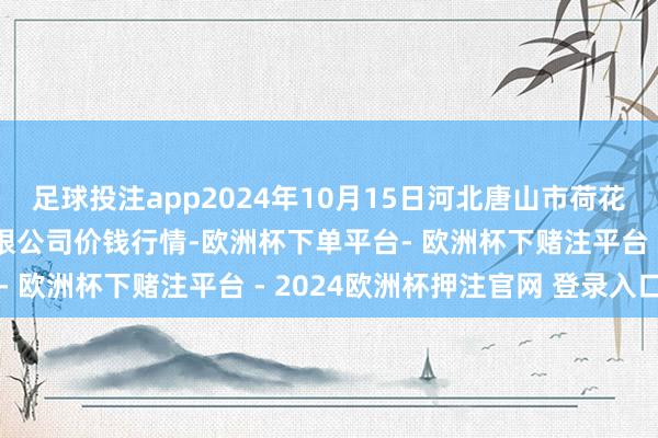 足球投注app2024年10月15日河北唐山市荷花坑商场盘算推算管束有限公司价钱行情-欧洲杯下单平台- 欧洲杯下赌注平台 - 2024欧洲杯押注官网 登录入口