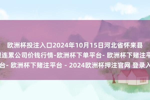 欧洲杯投注入口2024年10月15日河北省怀来县京西果菜批发商场有限连累公司价钱行情-欧洲杯下单平台- 欧洲杯下赌注平台 - 2024欧洲杯押注官网 登录入口